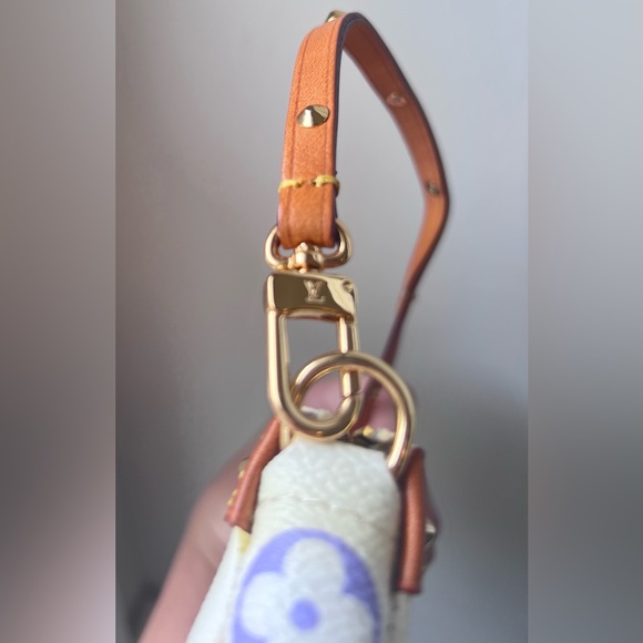 Authentic Louis Vuitton Pochette Accessoires Multicolor - Picture 5 of 9